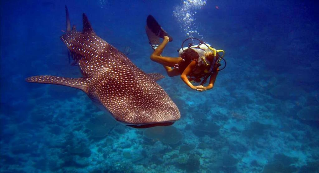 Batuta Maldives Surf View Hotell Thulusdhoo Exteriör bild